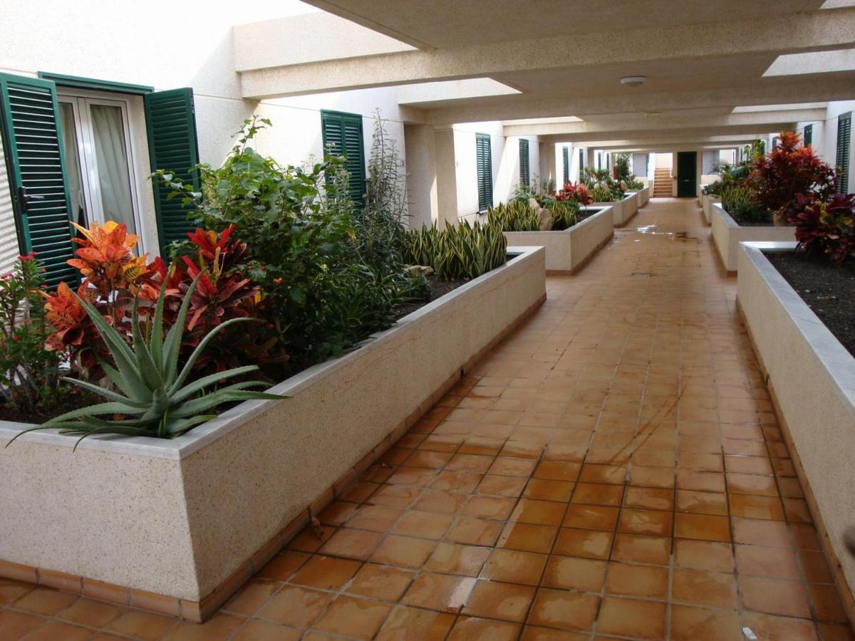 Apartamento Con Jardin Y Piscina En El Balancon El Médano Exterior foto