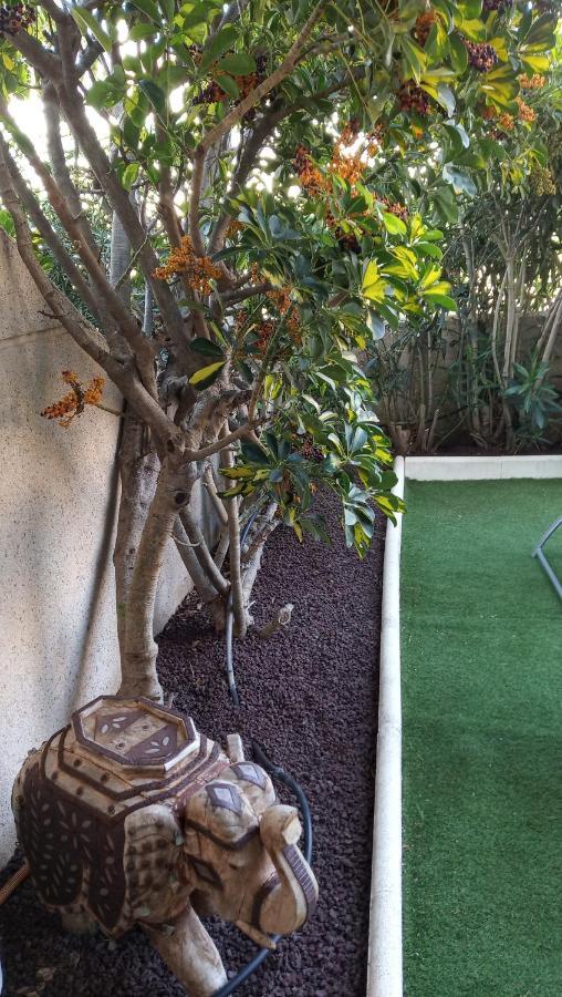 Apartamento Con Jardin Y Piscina En El Balancon El Médano Exterior foto